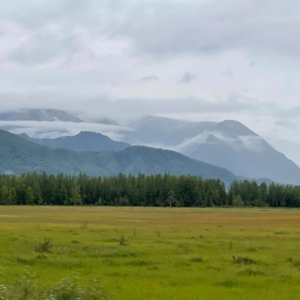 Meet your Posher, Mike